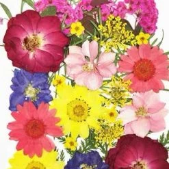 EverythingCuteClub Floral Girl Garden Cosplay Lolita Makeup Accessories 25 EverythingCuteClub Floral Girl Garden Cosplay Lolita Makeup Accessories