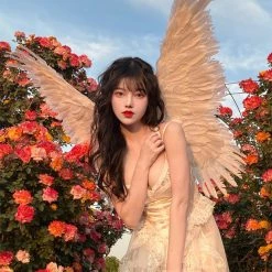 EverythingCuteClub Lingerie + Panties + Sleepwear + Socks Artemis Lingerie Night Dress