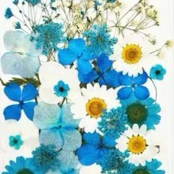 EverythingCuteClub Floral Girl Garden Cosplay Lolita Makeup Accessories 22 EverythingCuteClub Floral Girl Garden Cosplay Lolita Makeup Accessories