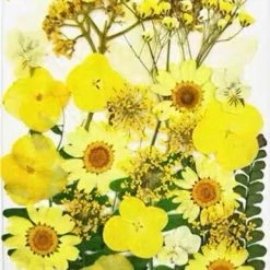 EverythingCuteClub Floral Girl Garden Cosplay Lolita Makeup Accessories 21 EverythingCuteClub Floral Girl Garden Cosplay Lolita Makeup Accessories