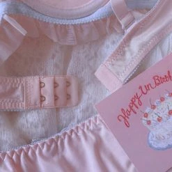 EverythingCuteClub Lingerie + Panties + Sleepwear + Socks Honey Ribbon Bra Underwear One Set 16 EverythingCuteClub Lingerie + Panties + Sleepwear + Socks Honey Ribbon Bra Underwear One Set