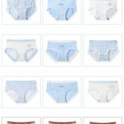 EverythingCuteClub Sanrio Character Lingerie Panties Box 3pc / Box Soft Fabric Lingerie + Panties + Sleepwear + Socks