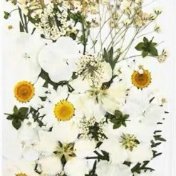 EverythingCuteClub Floral Girl Garden Cosplay Lolita Makeup Accessories 19 EverythingCuteClub Floral Girl Garden Cosplay Lolita Makeup Accessories