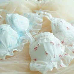EverythingCuteClub Lingerie + Panties + Sleepwear + Socks Bowknot Girlish Bra Sets Big Size Available 11 EverythingCuteClub Lingerie + Panties + Sleepwear + Socks Bowknot Girlish Bra Sets Big Size Available