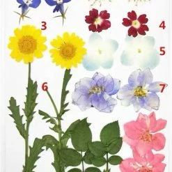 EverythingCuteClub Floral Girl Garden Cosplay Lolita Makeup Accessories 26 EverythingCuteClub Floral Girl Garden Cosplay Lolita Makeup Accessories