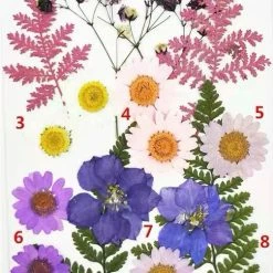 EverythingCuteClub Floral Girl Garden Cosplay Lolita Makeup Accessories 27 EverythingCuteClub Floral Girl Garden Cosplay Lolita Makeup Accessories