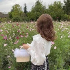 Koki, Everythingcuteclub Crocodile Print With Fur Girly Mini Handbag Accessories