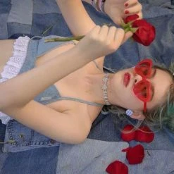 EverythingCuteClub Jeans Blue Crop Camisole Shorts Red Checked Ribbon Top