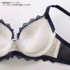 EverythingCuteClub Refinement Japanese Style Bra Shining Mesh Bra Set Lingerie Pyjamas Big Size Available Lingerie + Panties + Sleepwear + Socks